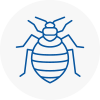 Bed Bug Extermination In Exeter